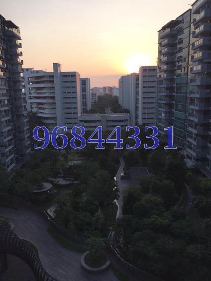 The Minton (D19), Condominium #160087722